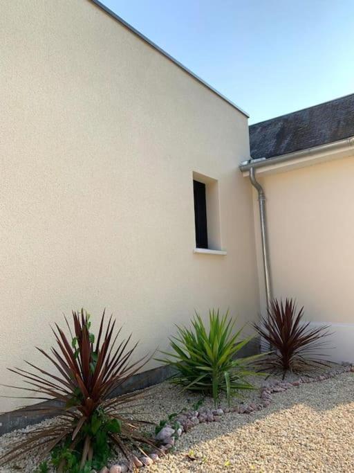 Villa Chic 3 Chambres ,2 Sdb Châtellerault Dış mekan fotoğraf
